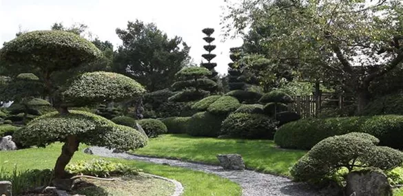 Gartengestaltung - Japan Garten (thumbnail) (Gartengestaltung - Japan Garten (thumbnail).jpg)