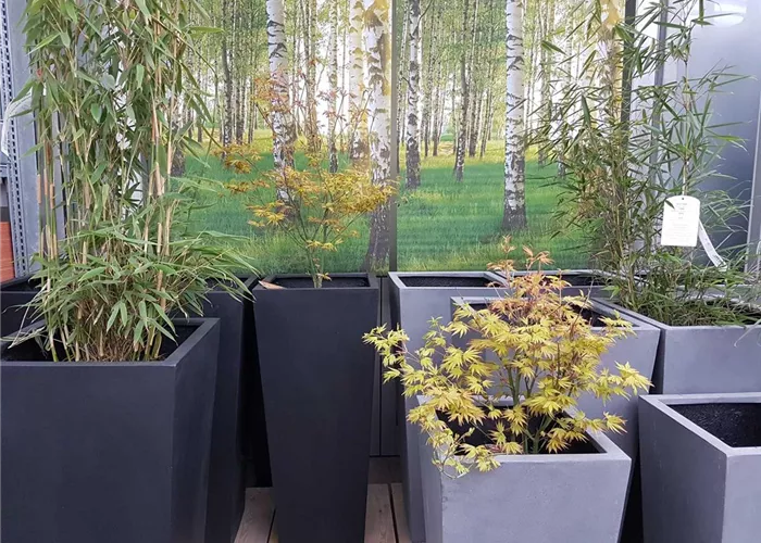 Über uns 1A Garten Schmidt