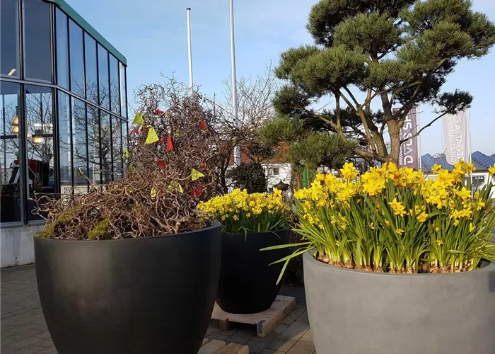 Über uns 1A Garten Schmidt