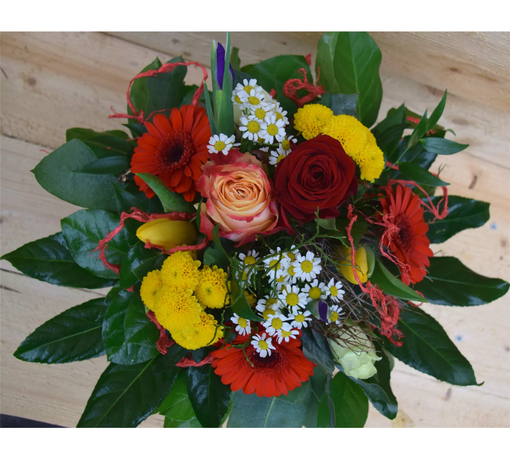 Produkte 1A Garten Schmidt