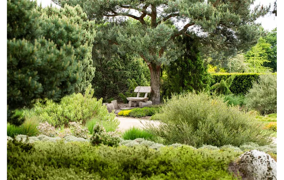 GaLaBau 1A Garten Schmidt