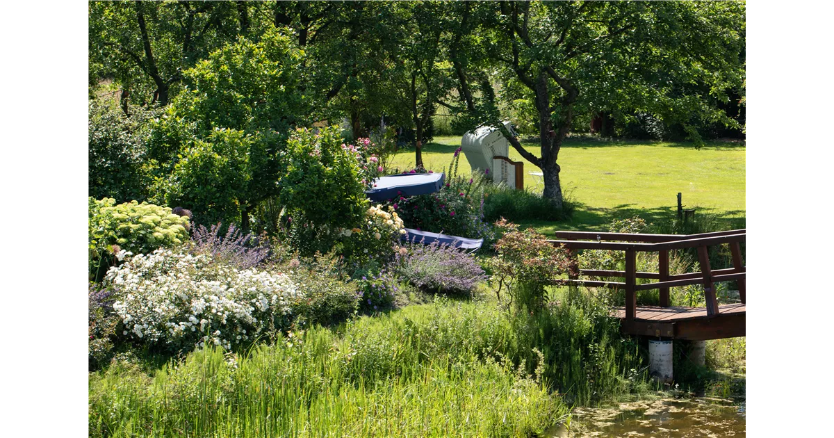 30+ Gartenanlagen Mit Teich, Ein teich im asia stil, ein koi teich,