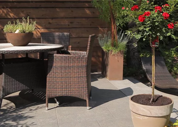 Hochstammrose - Einpflanzen in ein Gefäß Hochstammrose - Einpflanzen in ein Gefäß