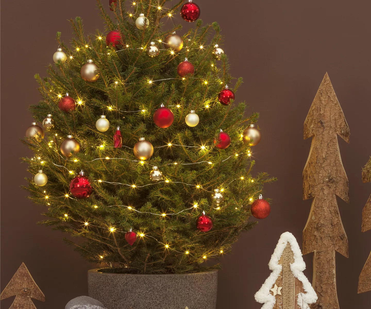 Weihnachtsbaum weiterpflegen