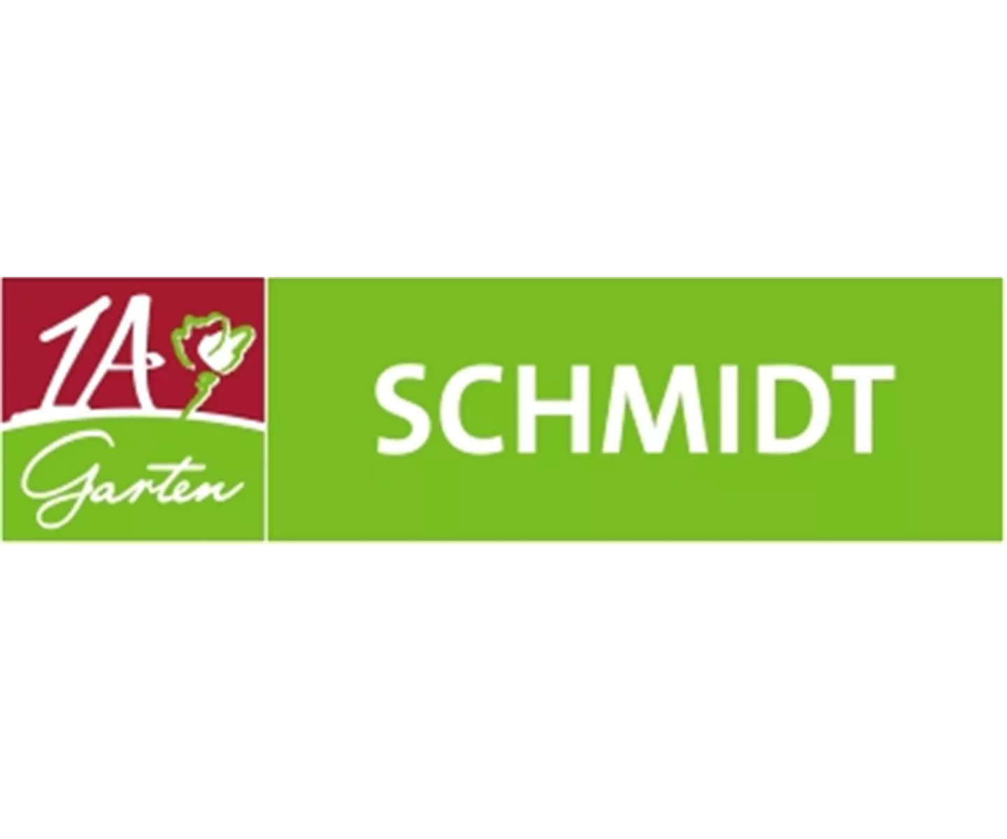 Feldsalaternte im Winter