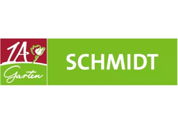 Litschis aufziehen