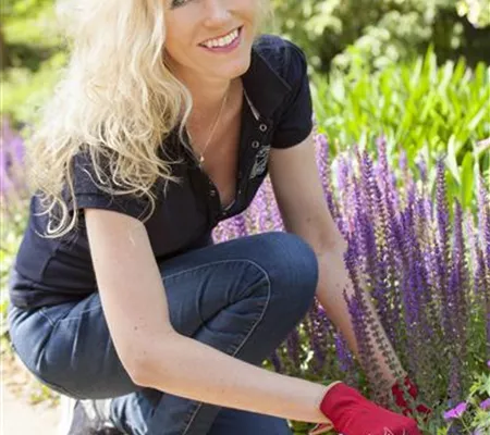 Frühjahrsputz im Garten