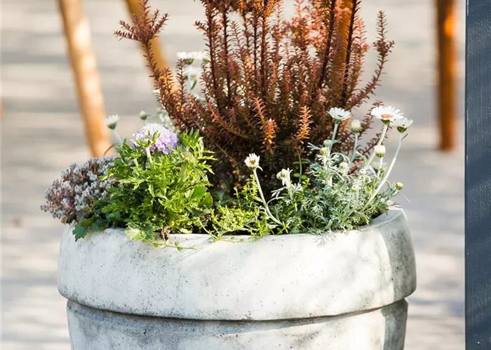 Aus alt mach neu: Blumenkübel nicht wegwerfen! Aus alt mach neu: Blumenkübel nicht wegwerfen!