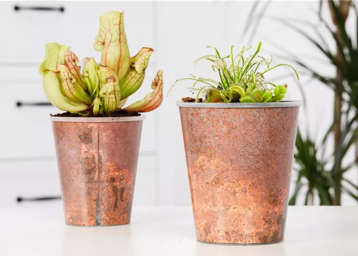 Auf Sauberkeit achten